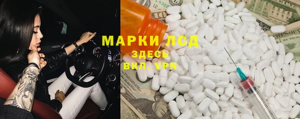 стафф Вязьма