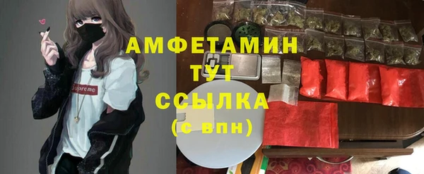 гашик Вяземский