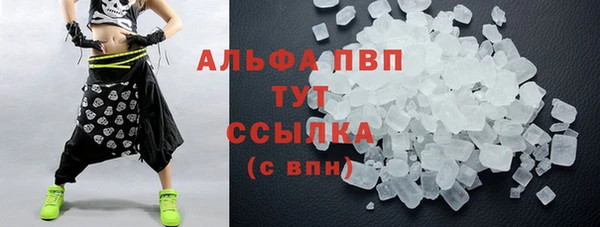 гашик Вяземский