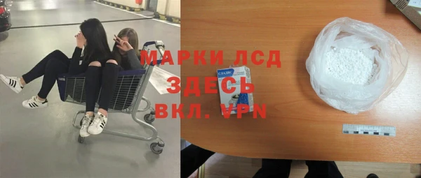 гашик Вяземский