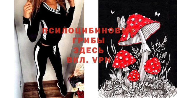 гашик Вяземский
