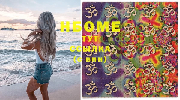 стафф Вязьма