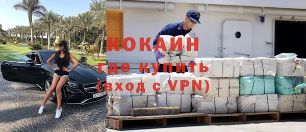 гашик Вяземский