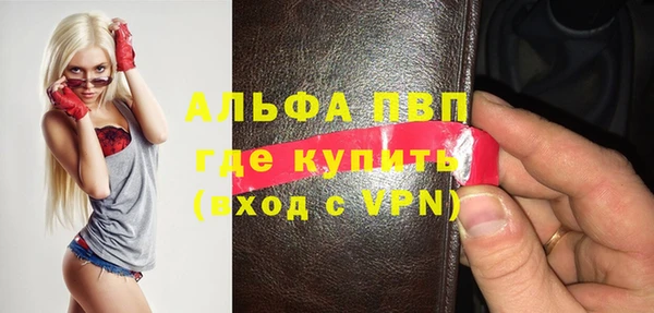 стафф Вязьма