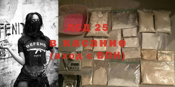гашик Вяземский