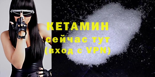 гашик Вяземский