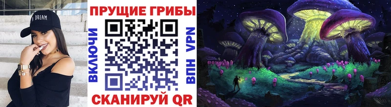 kraken маркетплейс  Дудинка  Псилоцибиновые грибы MAGIC MUSHROOMS 