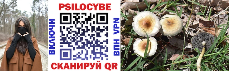 Галлюциногенные грибы прущие грибы Дудинка